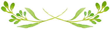 img_1.png